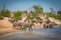 033 Botswana, Chobe NP, olifanten
